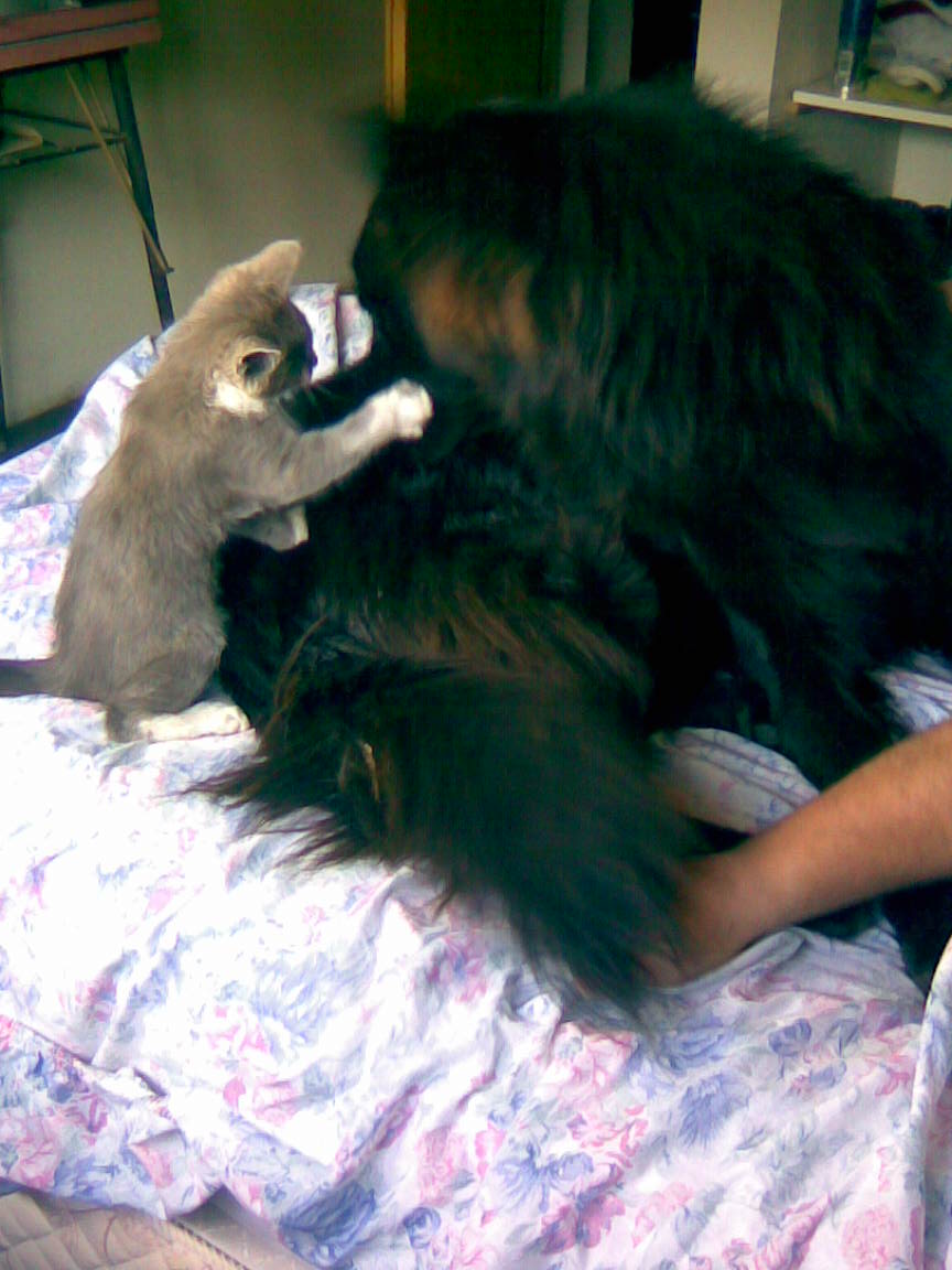 fotos/0000-00-00 - Infancia/Imagen045.jpg